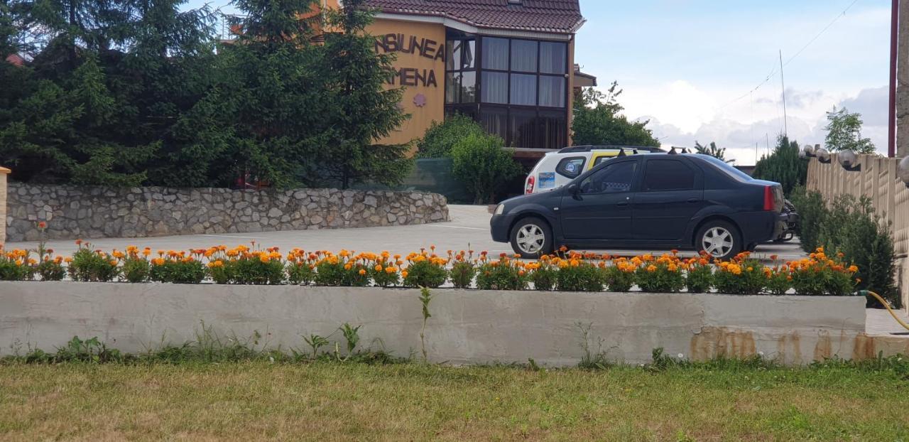 Pensiunea Carmena Băile Felix Екстериор снимка